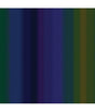 Tela Metro Benartex Essential Gradations Midnight Rainbow 2046-59 1