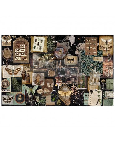 PAPEL SEDA PRIMA 50x70cm Herbarium Notes 1