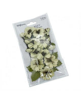 FLORES 49 MARKET Wildflowers Celery 1