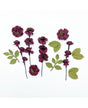 FLORES 49 MARKET Wildflowers Plum 1