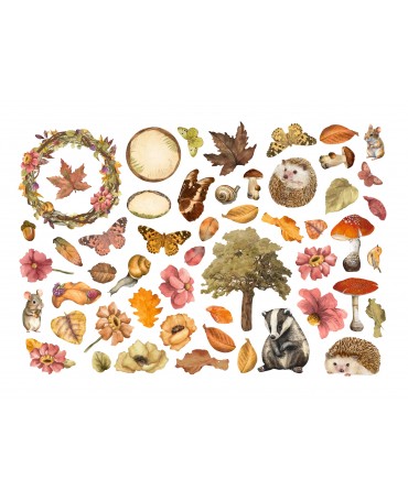 Ephemera Stamperia WOODLAND 2