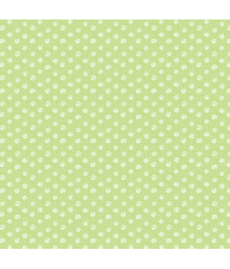 Tela Devonstone Slow and Steady Textured Dots Green 1