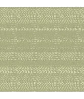 Tela Devonstone Slow and Steady Stripes Green 1
