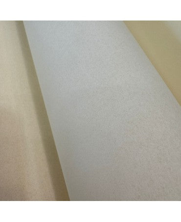 Papel Pergamino 70x50 2