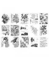 TIM HOLTZ Collage Paper Serendipity 30ud 2