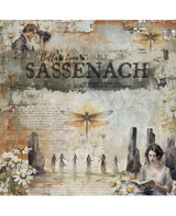 COLECCIÓN 20x20 BELLALUNA SASSENACH 1