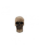 Tim Holtz Halloween Skulls (10pcs) 2