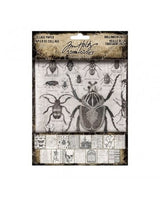 TIM HOLTZ Collage Paper Halloween 30ud 1