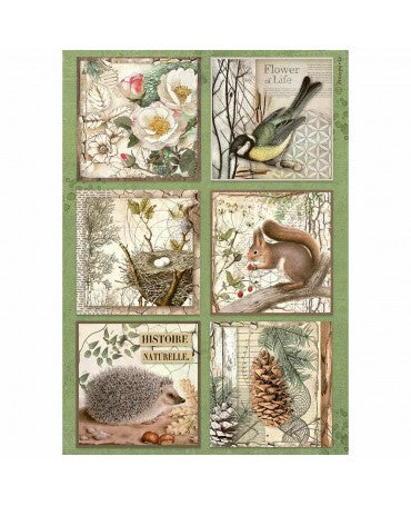 Papel arroz Stamperia A4 Forest 6 cartas 1