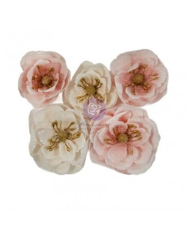 FLORES PRIMA With Santa Sweet 5ud 1