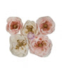FLORES PRIMA With Santa Sweet 5ud 1