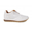 Cetti-848 1