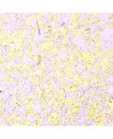 Copos metálicos Creative Expressions flakes Morning Blush 2