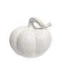 Calabaza Resina rayada chata 11x13 cm 1