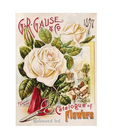 PAPEL ARROZ CALAMBOUR Rosa Blanca 1