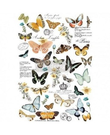 Transfer Rub On PRIMA Butterfly Dance 24x35 pulgadas 1
