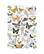 Transfer Rub On PRIMA Butterfly Dance 24x35 pulgadas 1
