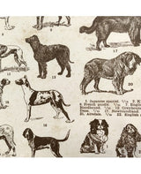 PAPEL ENCUADERNAR ROSSI Dogs 2 ud 1