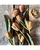 Molde STAMPERIA silicona A5 ART OF TRAVELLING TULIPS 2