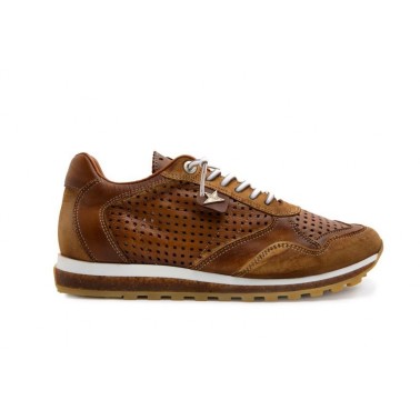 Cetti-848 1