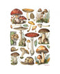 Papel arroz Stamperia A4 MUSHROOMS 1