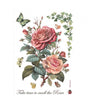 Papel arroz Stamperia A4 Big rose 1