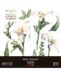 Transfer Rub On PFY 30x30-2 Hojas (Calla Lily) 1