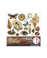 RECORTABLES CIAO BELLA 15x15cm Cabinet of curiosities 1