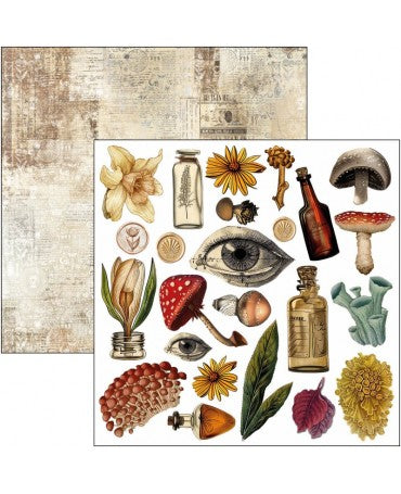RECORTABLES CIAO BELLA 15x15cm Cabinet of curiosities 2