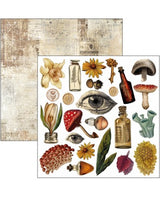 RECORTABLES CIAO BELLA 15x15cm Cabinet of curiosities 2