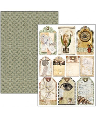 COLECCION A4 CIAO BELLA Cabinet of curiosities 2