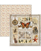 COLECCIÓN 20x20 CIAO BELLA Cabinet of curiosities 2