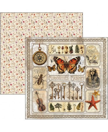 COLECCIÓN 20x20 CIAO BELLA Cabinet of curiosities 2