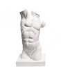 Resina Torso masculino 1