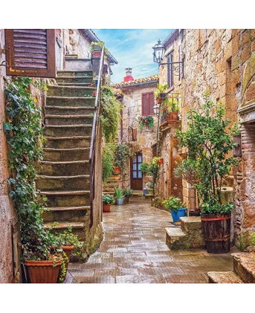 Servilletas COURTYARD 1