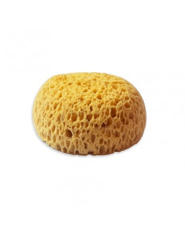 Esponja Stamperia 1