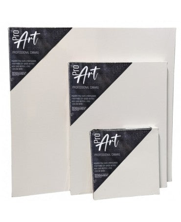 Lienzo Standard 35x50cm 1