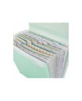CARPETA clasificadora fuelle 30.5x30.5 2