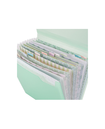 CARPETA clasificadora fuelle 30.5x30.5 2