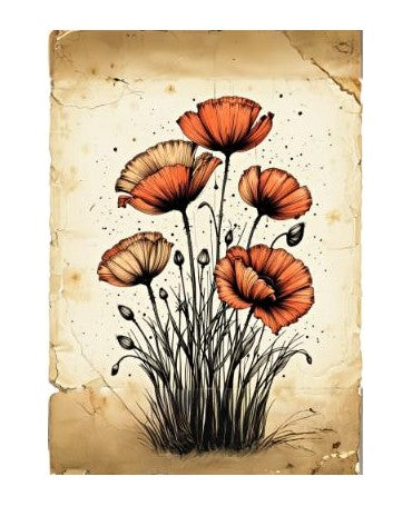 Papel Seda A4 Amapolas 32 1