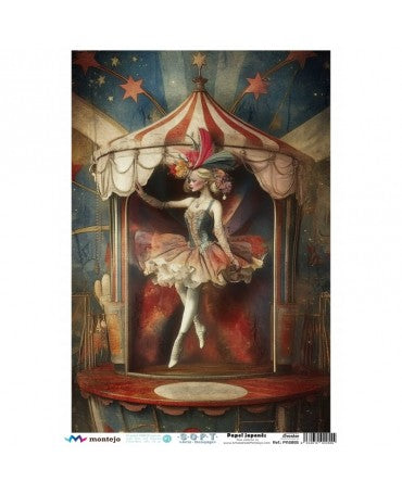 Papel Arroz SOFT A3 5885 Circo 1