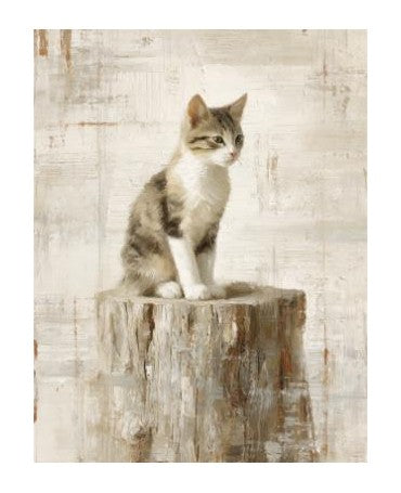 Papel Seda A4 Granja 40 Gato 1