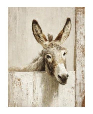 Papel Seda A3 Granja 25 Burro 1