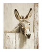 Papel Seda A3 Granja 25 Burro 1