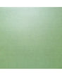 Cartulinas perladas 30X30 216 gr Verde Celadon 1