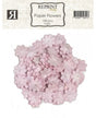 FLORES REPRINT Pink 100 ud 1