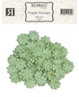 FLORES REPRINT Green 100 ud 1