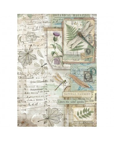 Papel arroz Stamperia A4 Herbarium Silvae Botanic 1