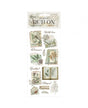 Transfer Rub On STAMPERIA Herbarium Silvae Botanical books 1