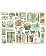 DIE CUTS STAMPERIA Herbarium Silvae 2